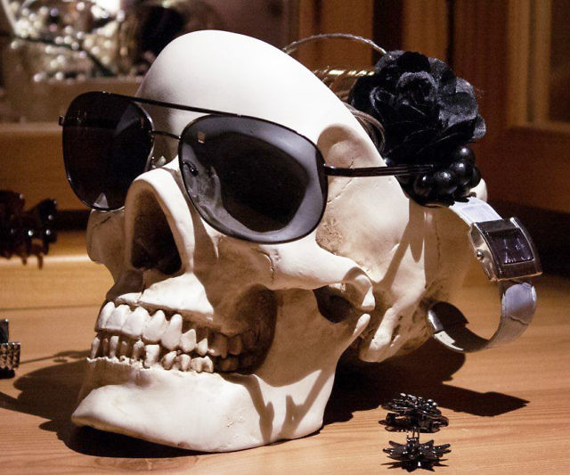 Human Skull Tidy
