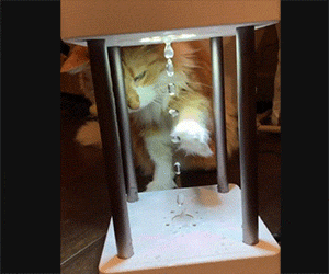 Anti-Gravity Water Fountain Lamp