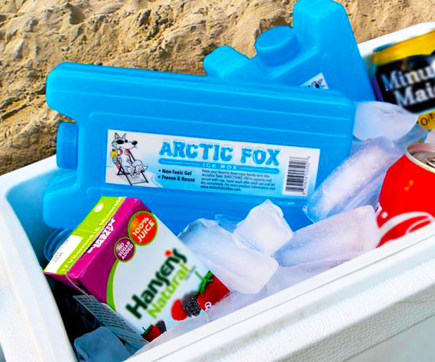 Hidden Liquor Flask Ice Pack