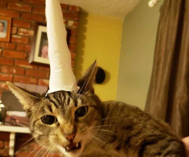 Inflatable Unicorn Horn For Cats