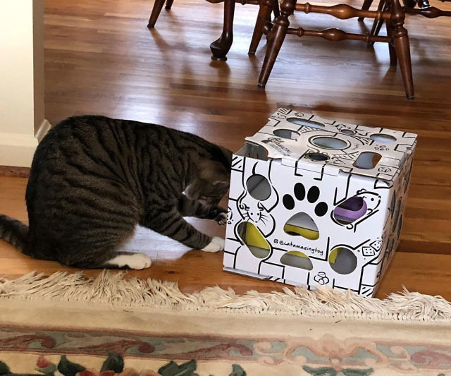 Interactive Treat Puzzle Cat Toy