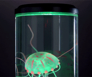 Jelly Fish Lamp