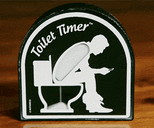 The Toilet Timer
