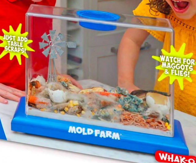 Kid’s Mold Farm