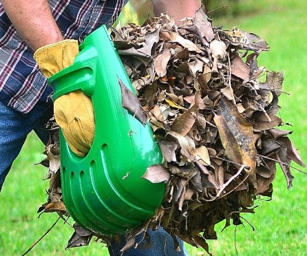 Leaf Scooper Claws