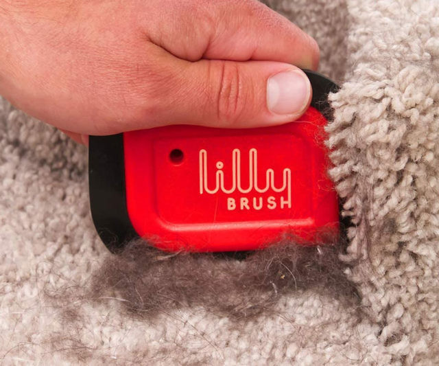 Lilly Brush Pet Hair Remover