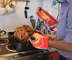 Lobster Claw Oven Mitts