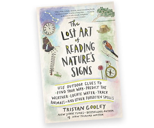 The Lost Art Of Reading Nature’s Signs