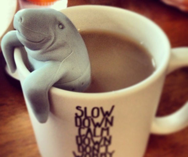 Manatee Tea Infuser