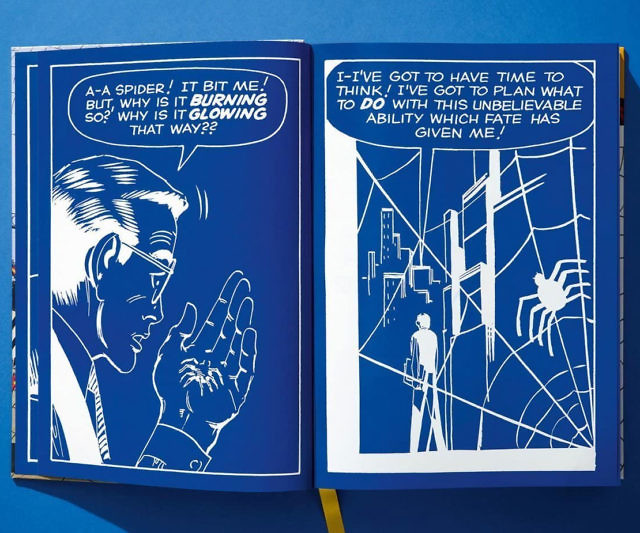 Marvel Comics Library Spider-Man Vol. 1