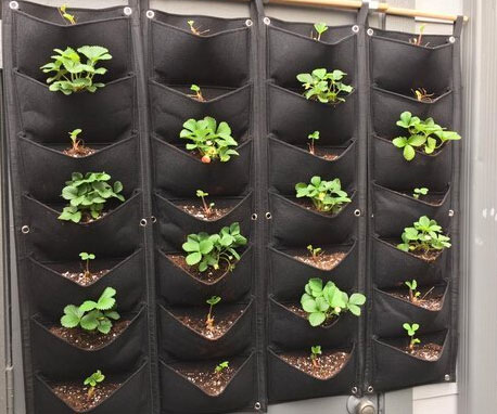 Hanging Vertical Garden Wall Planter