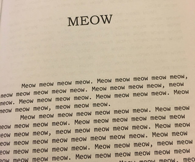 Meow The Book For Cats
