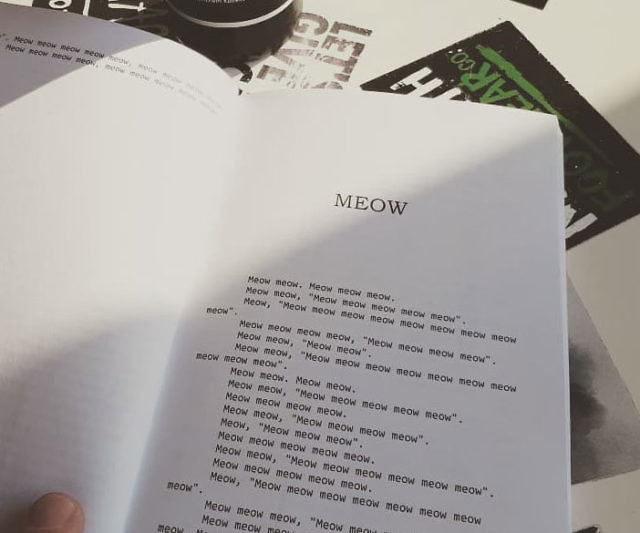 Meow The Book For Cats