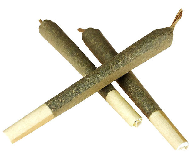 Meowijuana Catnip Preroll Joints