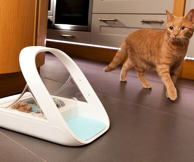 Microchip Pet Feeder