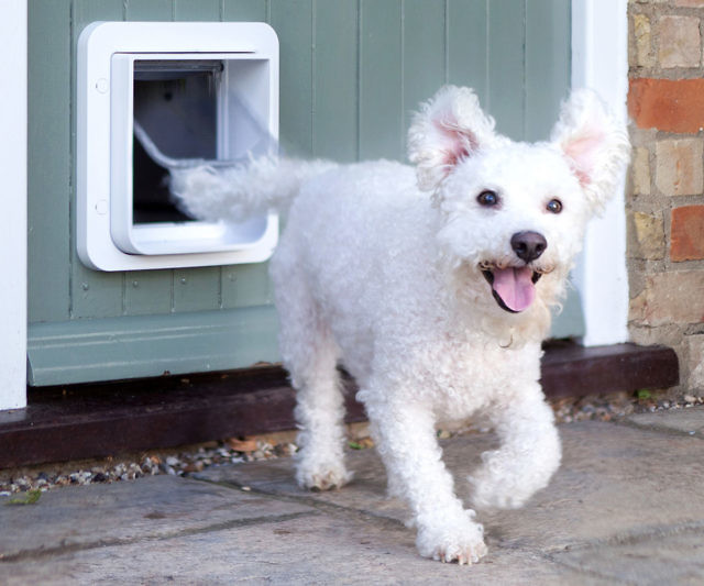 Microchip Pet Door