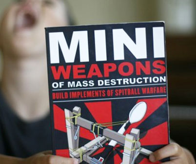 Mini Weapons Of Mass Destruction Book