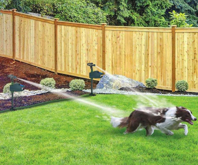 Animal Repellent Sprinklers