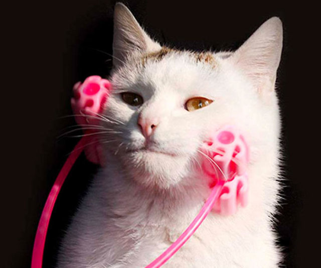 The Cat Face Massager