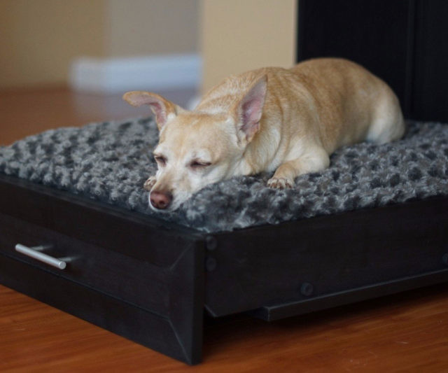 Murphy Bed For Pets