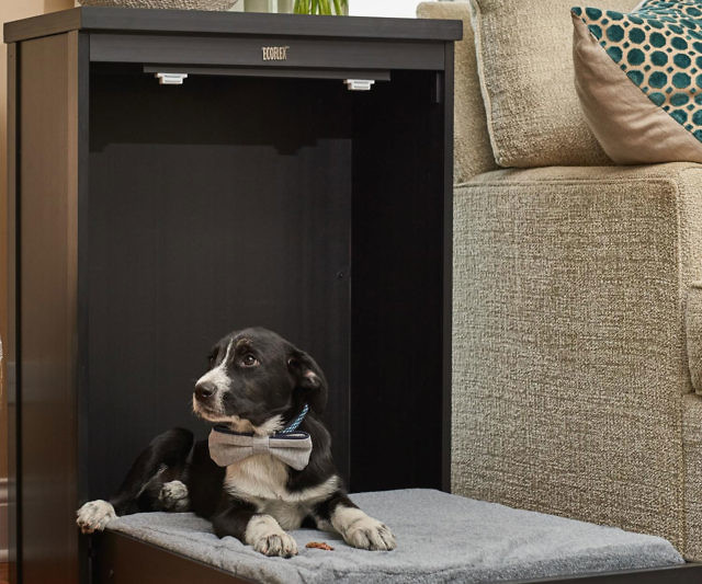 Murphy Bed For Pets