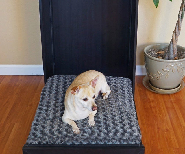 Murphy Bed For Pets