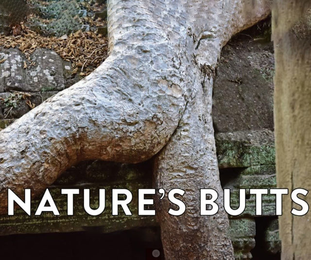 Nature’s Butts Calendar