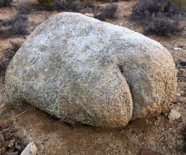 Nature’s Butts Calendar