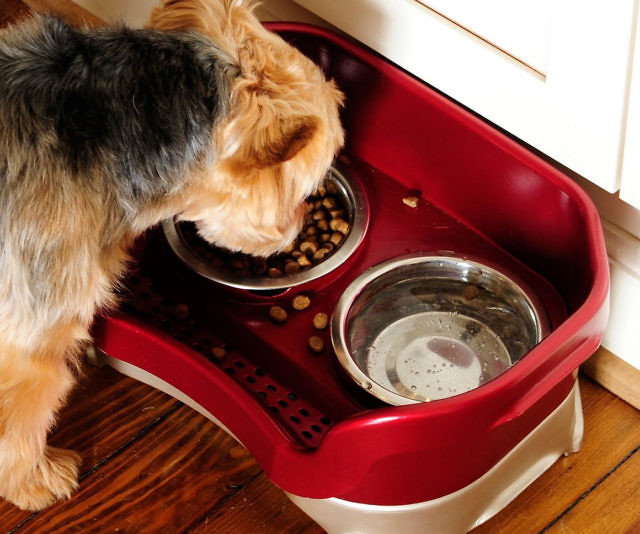 Mess Proof Elevated Pet Bowls