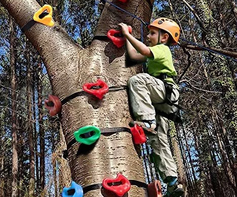 Tree Climbing Holds For Kids