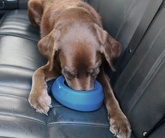 No Spill Dog Travel Bowl