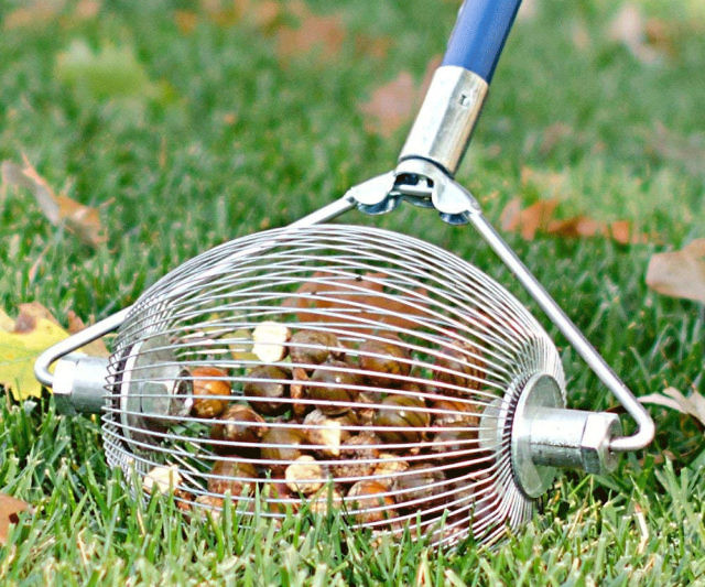 Nut & Golf Ball Collector