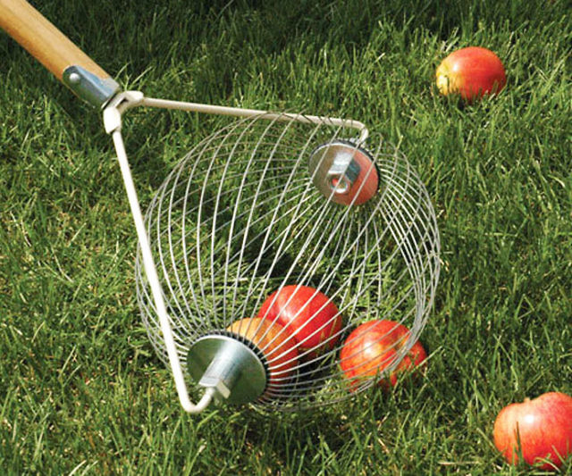 Nut & Golf Ball Collector
