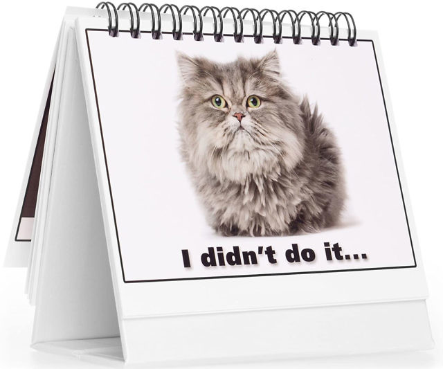 Moodycards Office Cat Cards