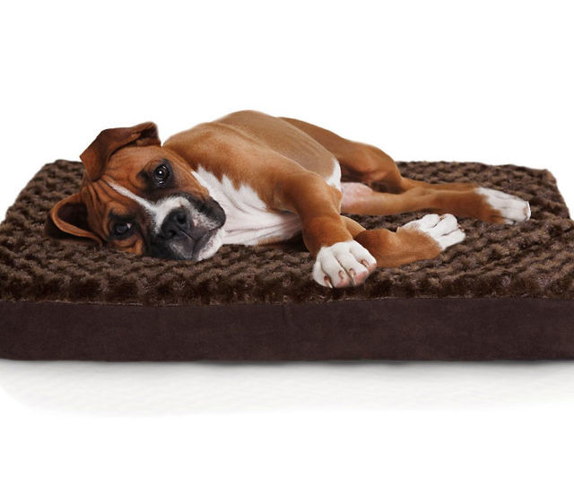 Orthopedic Mattress Pet Bed