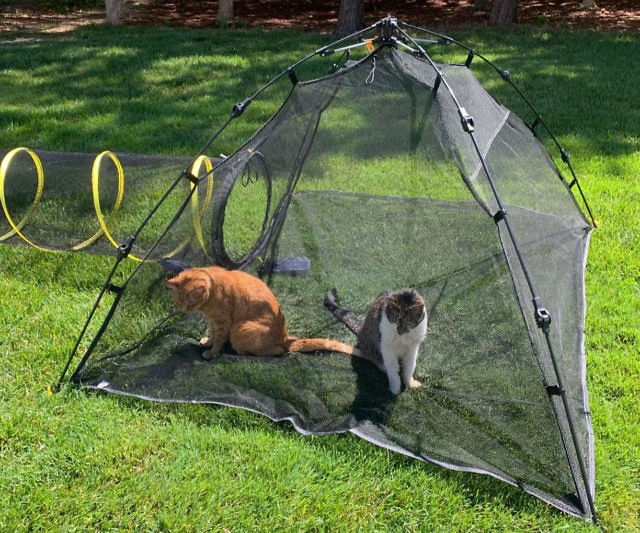 Outdoor Pet Tent