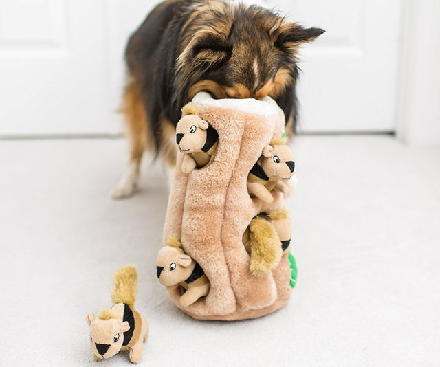 Puzzle Plush Squeaking Toys for Dogs