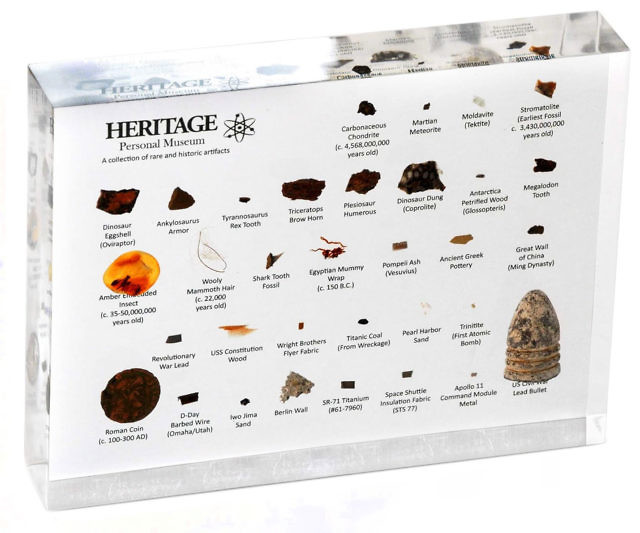 Mini Natural History Museum
