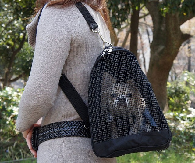 Pet Backpack
