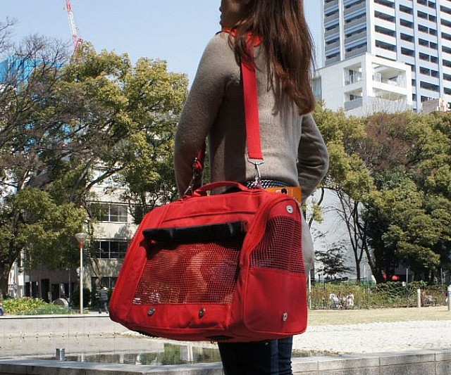 Pet Backpack