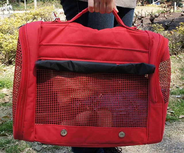 Pet Backpack