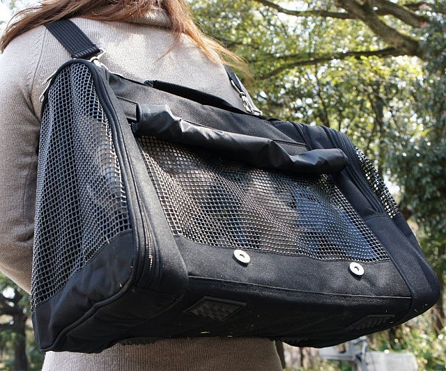 Pet Backpack