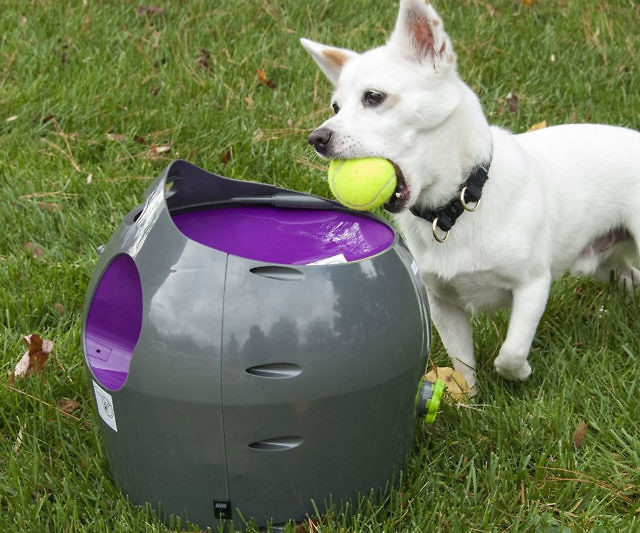 Automatic Pet Ball Launcher