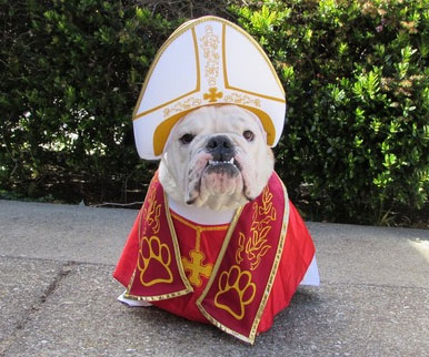Pet Pope Costume