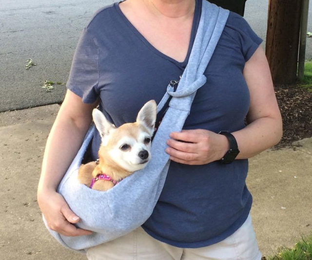 Pet Sling Carrier