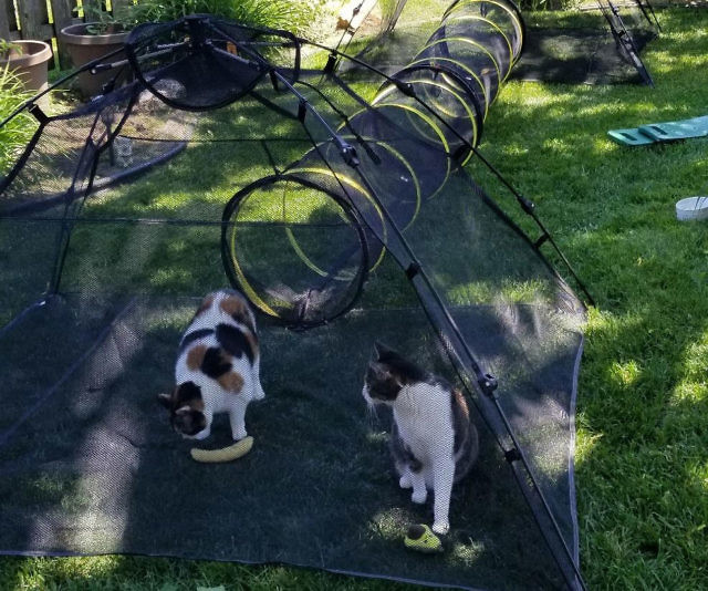 Outdoor Pet Tent