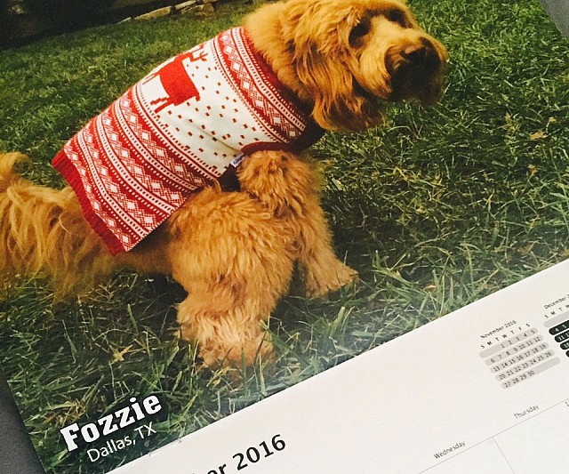 Pooping Dogs Calendar