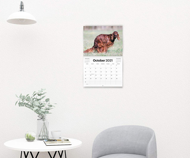 Dogs Pooping Calendar