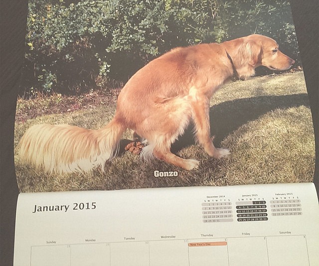 Pooping Dogs Calendar