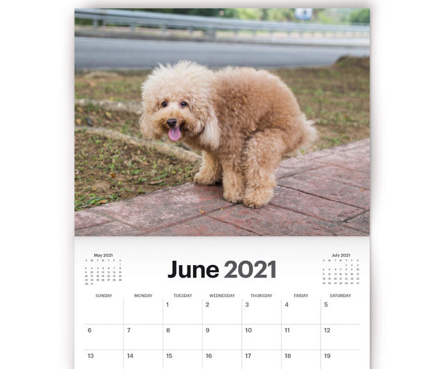 Dogs Pooping Calendar